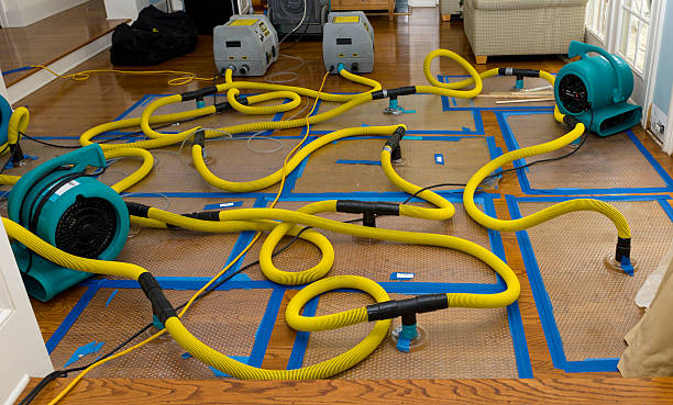 Professional Storm Water Damage Restoration technician working in Bowling Green, MD